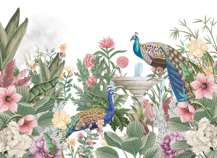 ASSET PEACOCK 10